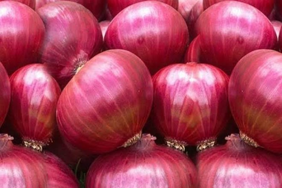 Onion Red (Imported) 1kg
